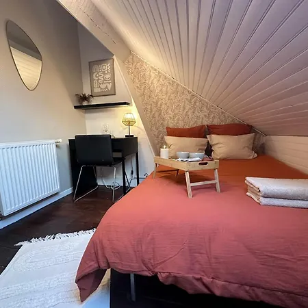 Appartement Lerelaisdodile - Confort - Ideal Pro & Couple - Vauban Rijsel