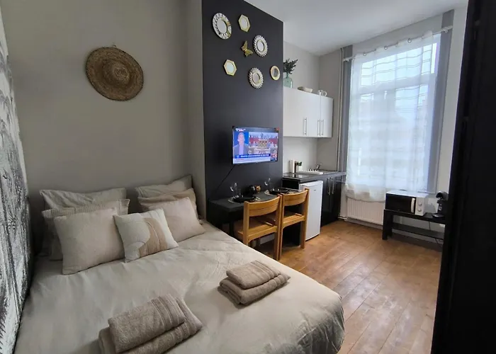 Lerelaisdodile - Confort - Ideal Pro & Couple - Vauban * Lille