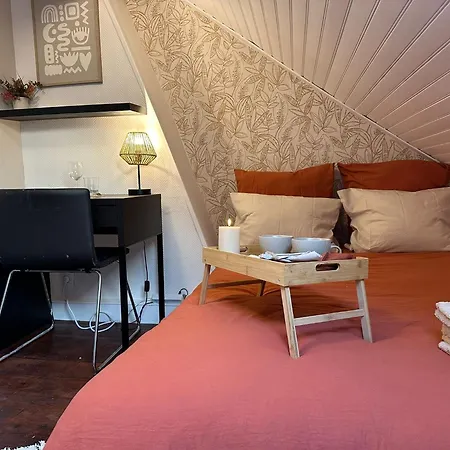 Lerelaisdodile - Confort - Ideal Pro & Couple - Vauban * Lille